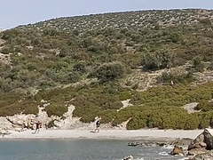 Free Kilo Clips presents: Outdoor pee sex at the beach, Cumshot, Hairy, Hardcore, British, HD Videos, Deep Throat, Outdoor, Stories, Love, Homemade, Pissing, Pee, Piss, Movie, Love Story, Love Movie, Beach Movie, Movie Public, Movie Outdoor